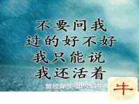 上海梵松酒店管理有限公司