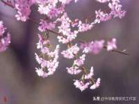 上海梵松酒店管理有限公司