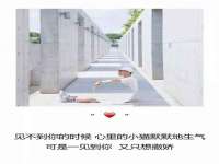 上海梵松酒店管理有限公司