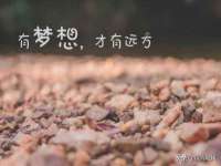 上海梵松酒店管理有限公司