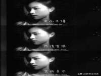上海梵松酒店管理有限公司