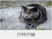 上海梵松酒店管理有限公司