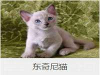 上海梵松酒店管理有限公司