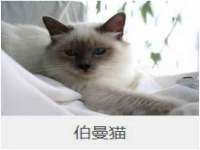 上海梵松酒店管理有限公司