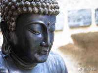 上海梵松酒店管理有限公司