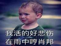 上海梵松酒店管理有限公司