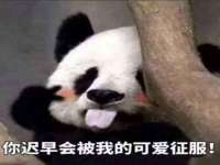 上海梵松酒店管理有限公司