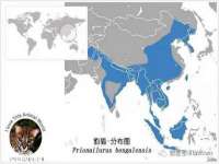 上海梵松酒店管理有限公司