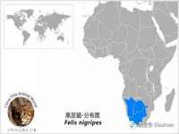 上海梵松酒店管理有限公司