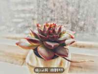 上海梵松酒店管理有限公司