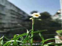 上海梵松酒店管理有限公司