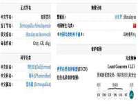 上海梵松酒店管理有限公司