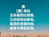 上海梵松酒店管理有限公司