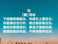 上海梵松酒店管理有限公司