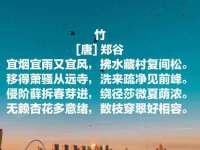 上海梵松酒店管理有限公司