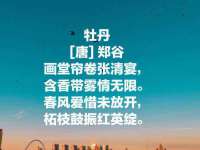 上海梵松酒店管理有限公司