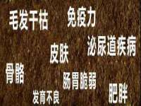 上海梵松酒店管理有限公司