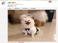 上海梵松酒店管理有限公司