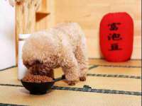 上海梵松酒店管理有限公司