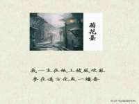 上海梵松酒店管理有限公司