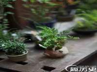 上海梵松酒店管理有限公司