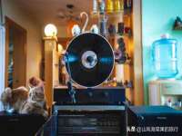 上海梵松酒店管理有限公司