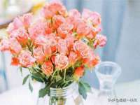 上海梵松酒店管理有限公司