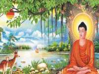 上海梵松酒店管理有限公司