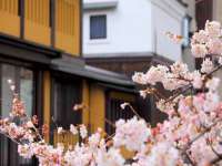 上海梵松酒店管理有限公司