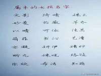 上海梵松酒店管理有限公司